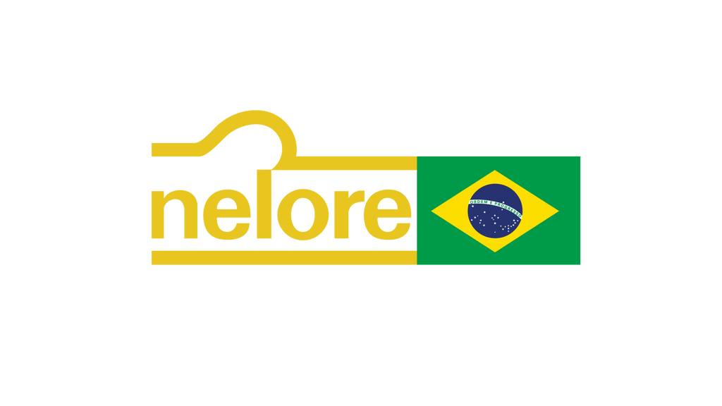 Pin Nelore