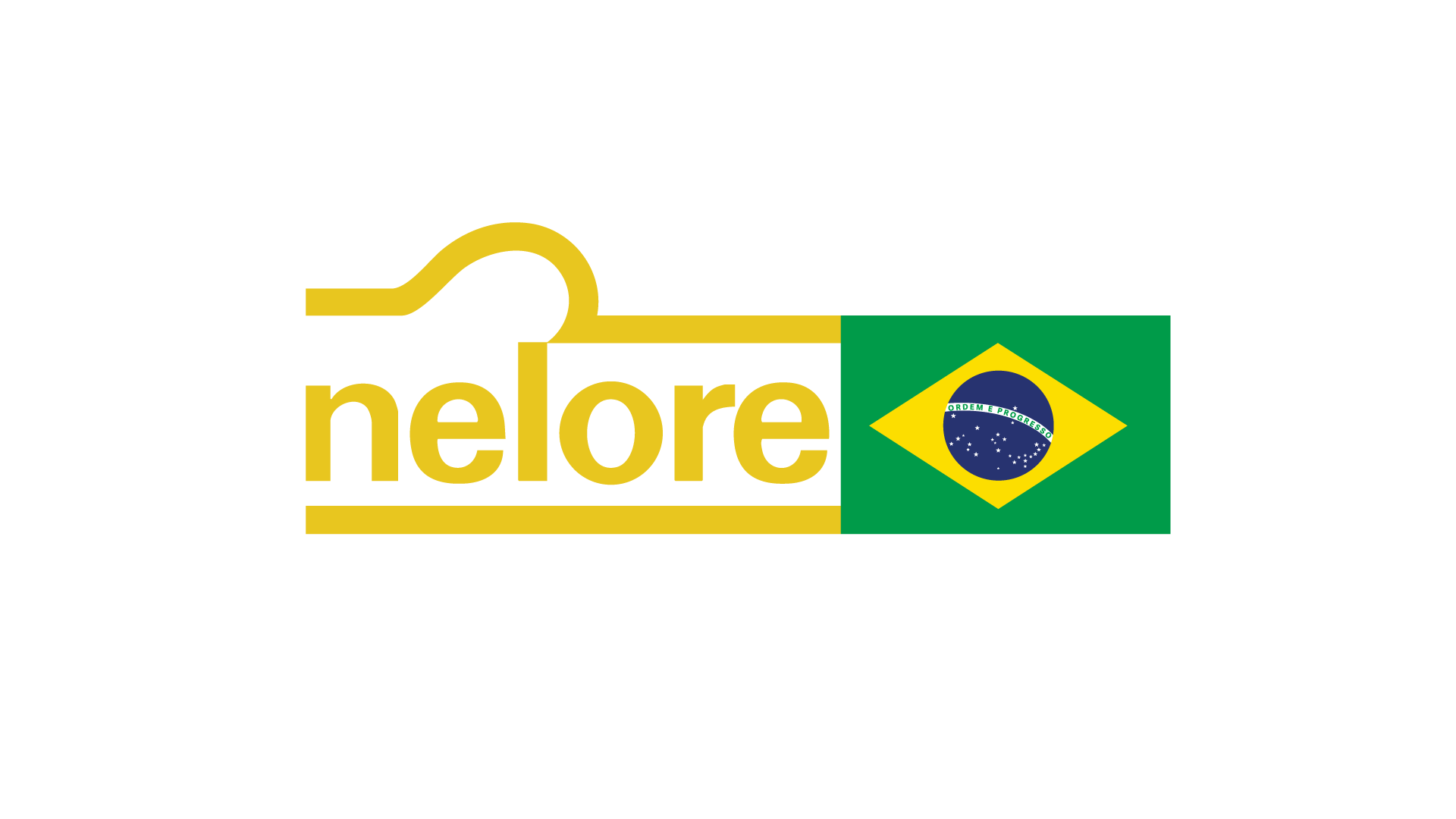 Pin Nelore